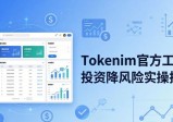 Tokenim官方工具：投资降风险实操指南